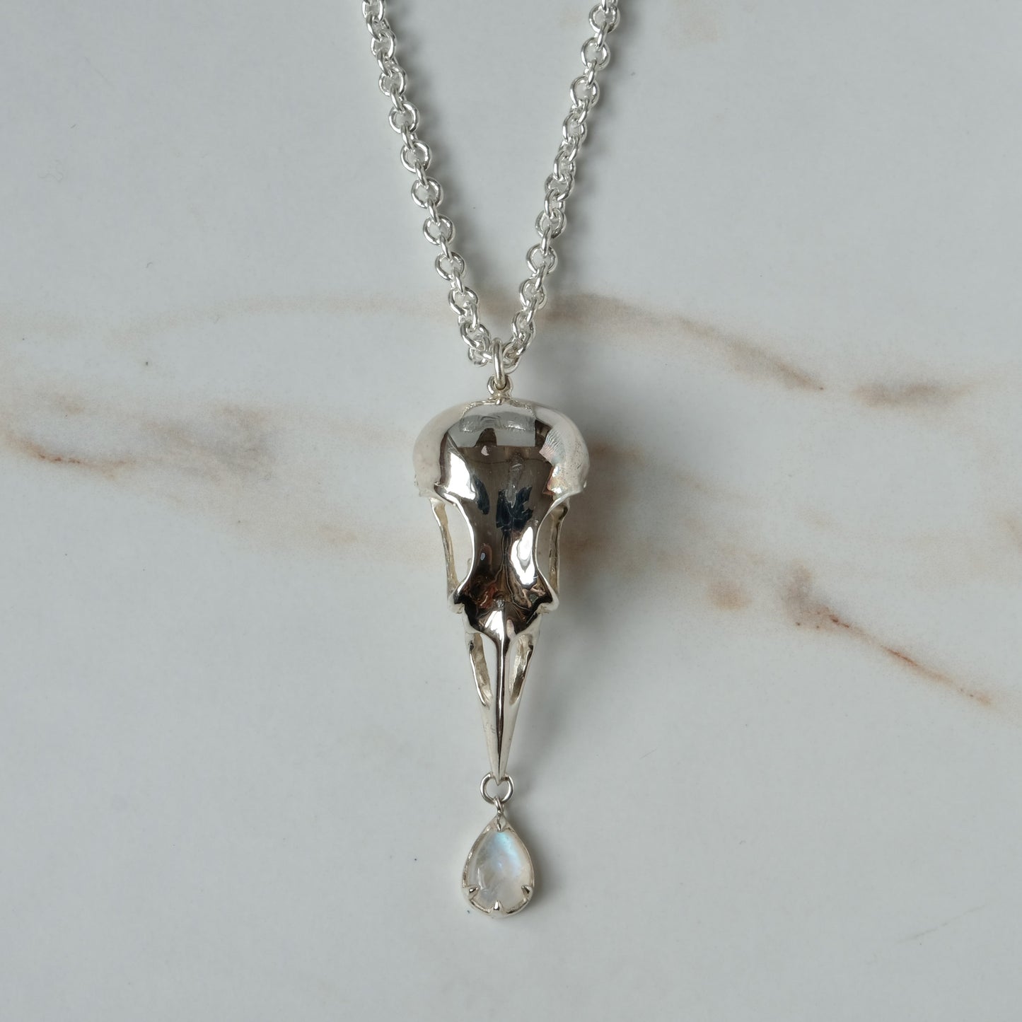 Bird skull necklace cast in sterling silver with chain. Pear shaped moonstone is claw set hanging from the beak. Made by Charlie Shires