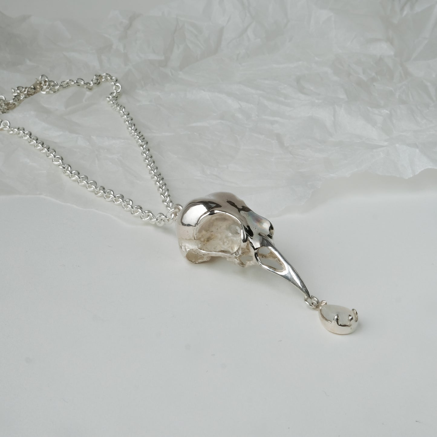 Bird skull necklace cast in sterling silver with chain. Pear shaped moonstone is claw set hanging from the beak. Made by Charlie Shires