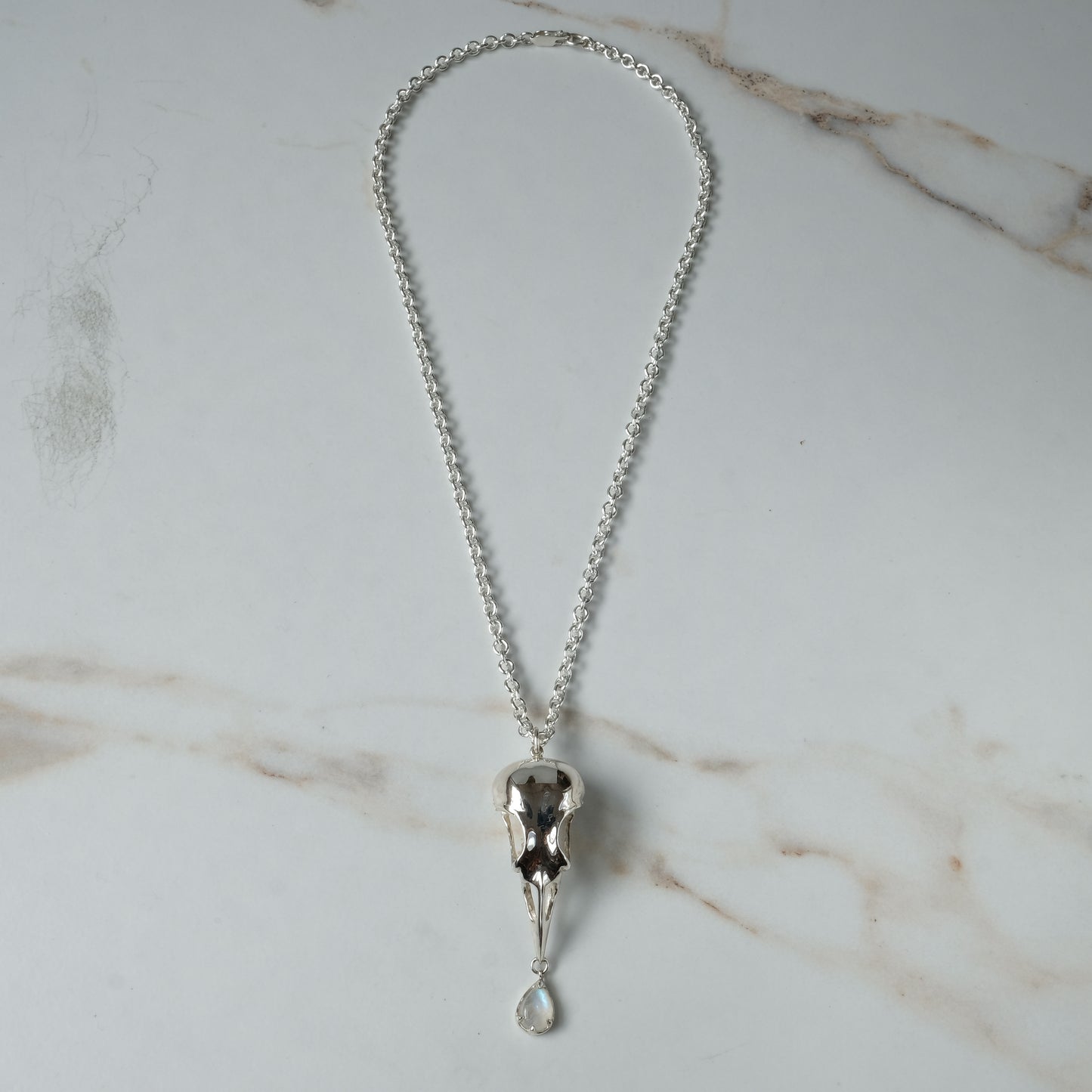 Bird skull necklace cast in sterling silver with chain. Pear shaped moonstone is claw set hanging from the beak. Made by Charlie Shires