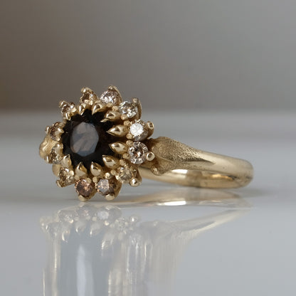 AGNES ring