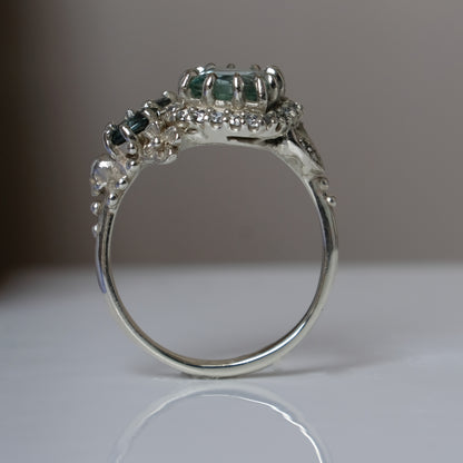 URSELA ring