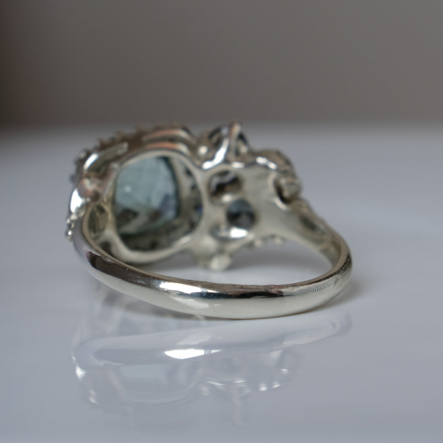 URSELA ring