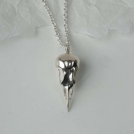 Large bird skull pendant on chain made in sterling silver by Charlie Shires