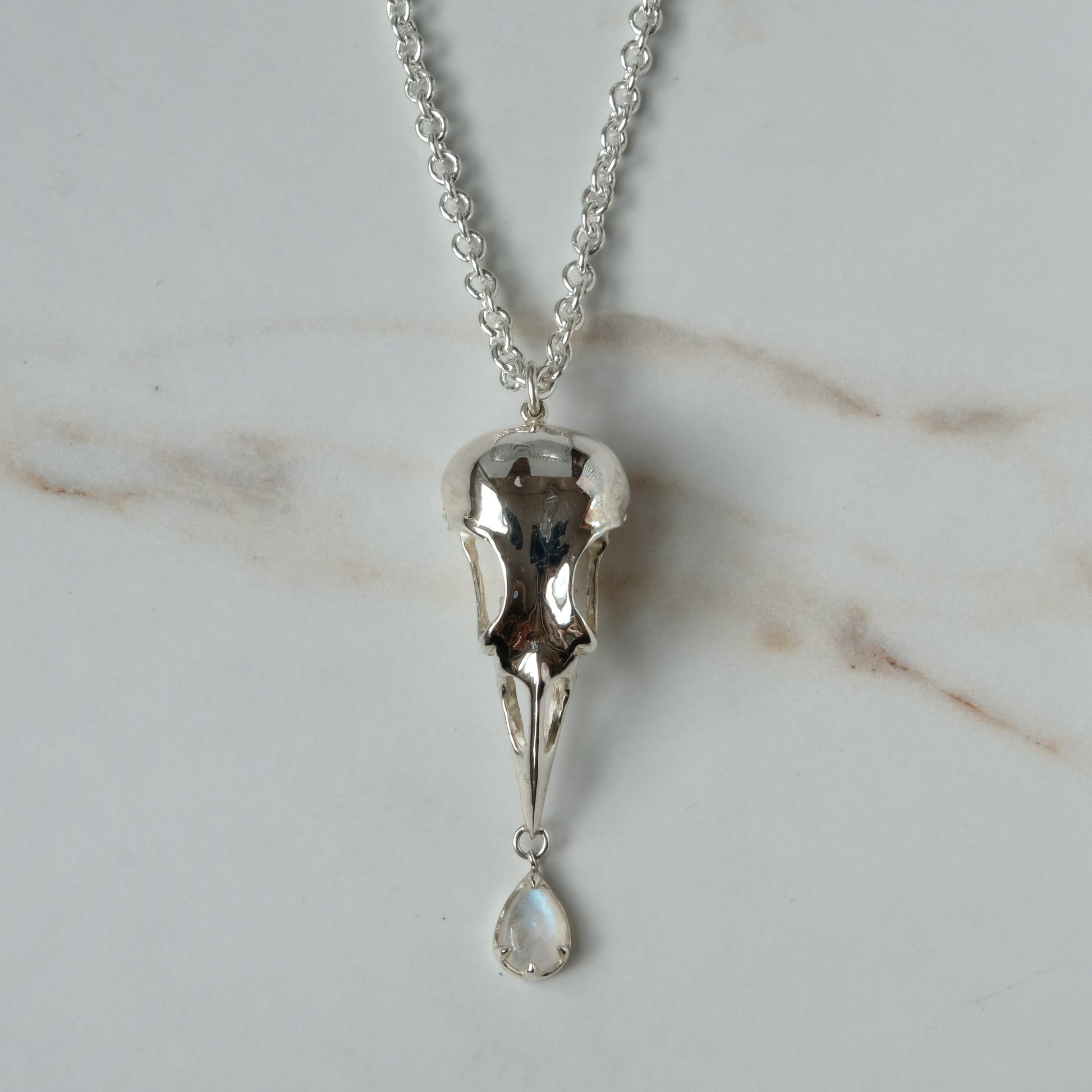 Bird skull necklace cast in sterling silver with chain. Pear shaped moonstone is claw set hanging from the beak. Made by Charlie Shires