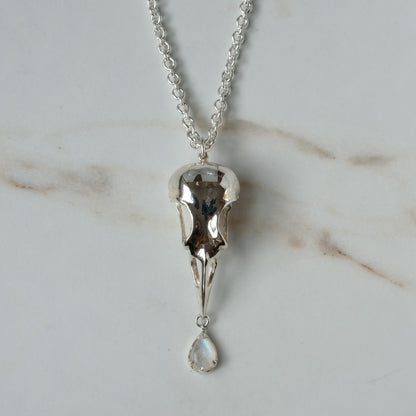 Bird skull necklace cast in sterling silver with chain. Pear shaped moonstone is claw set hanging from the beak. Made by Charlie Shires
