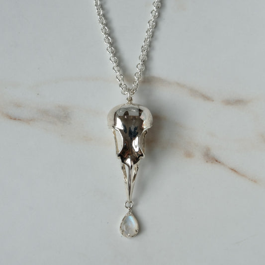 Bird skull necklace cast in sterling silver with chain. Pear shaped moonstone is claw set hanging from the beak. Made by Charlie Shires