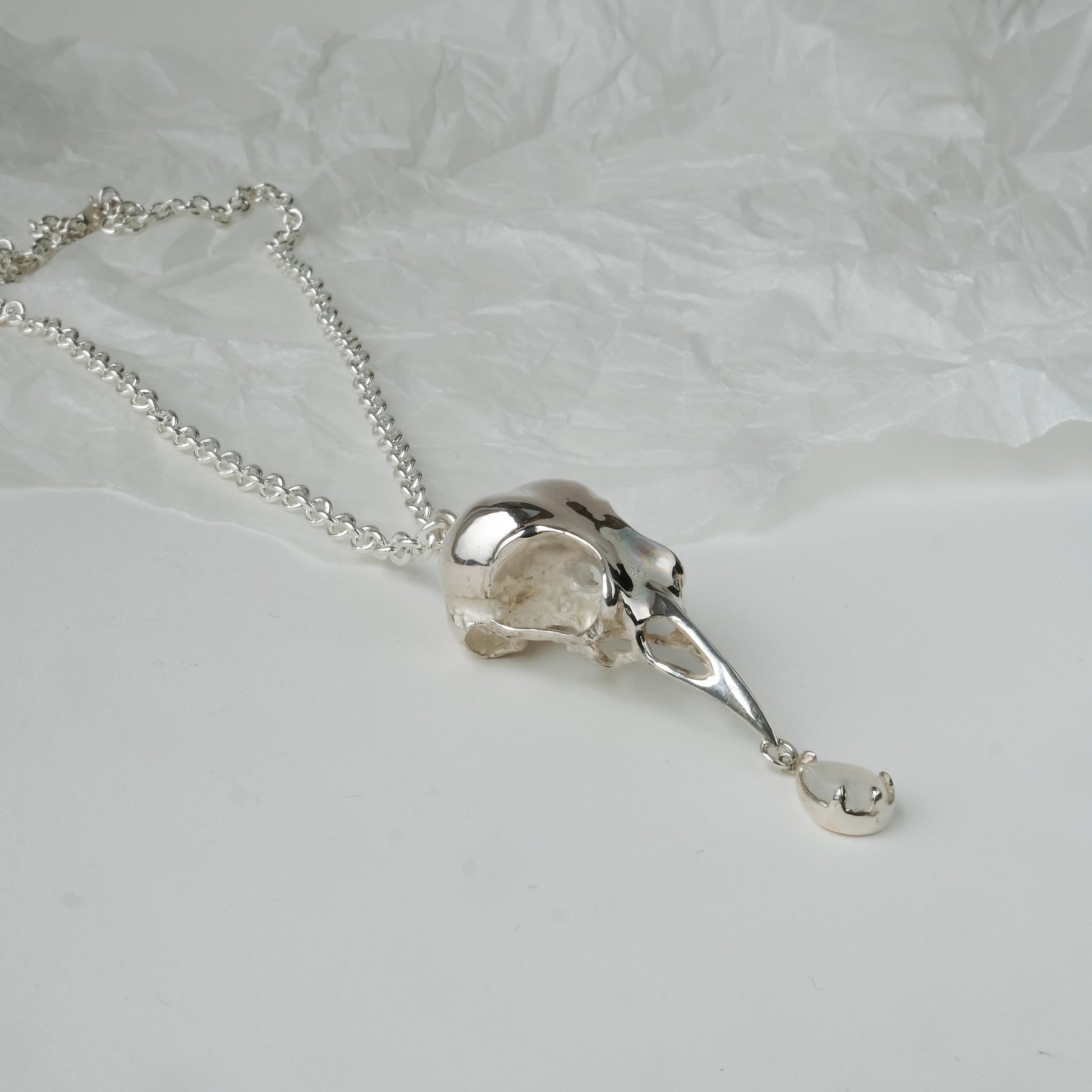 Bird skull necklace cast in sterling silver with chain. Pear shaped moonstone is claw set hanging from the beak. Made by Charlie Shires