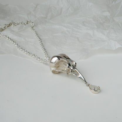 Bird skull necklace cast in sterling silver with chain. Pear shaped moonstone is claw set hanging from the beak. Made by Charlie Shires
