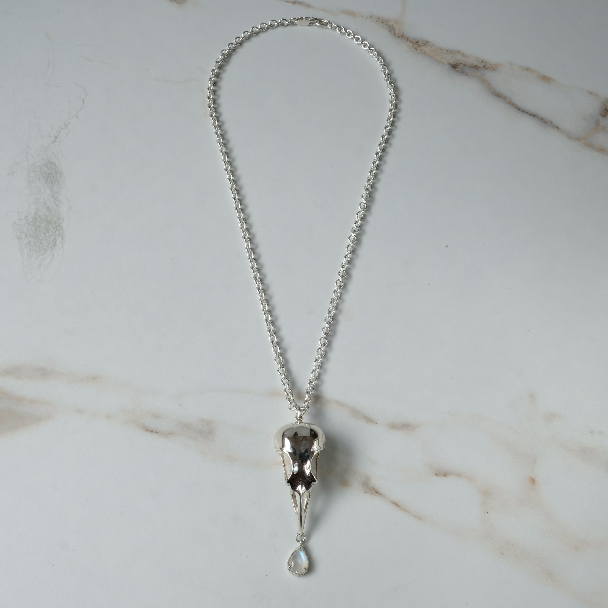 Bird skull necklace cast in sterling silver with chain. Pear shaped moonstone is claw set hanging from the beak. Made by Charlie Shires